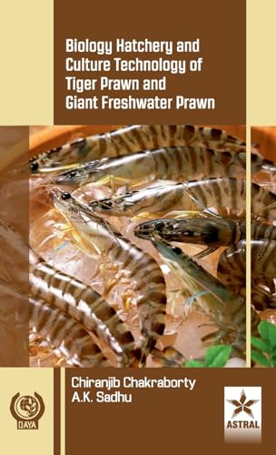 How to cook giant tiger prawns How to cook giant tiger prawns