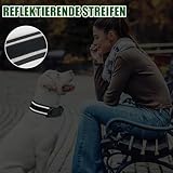 FEimaX Hundehalsband Personalisiert Hunde Halsband für Kleine Mittelgroße Hunde, Breite Reflektierende Verstellbares Taktisch Hundehalsband mit Metallschnalle für Ausbildung (Schwarz, M)