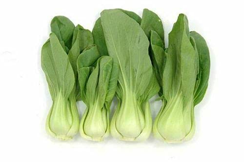 Legumi - Orientali - Pak Choi - Shanghai Green Stem - 100 grani - Première classe