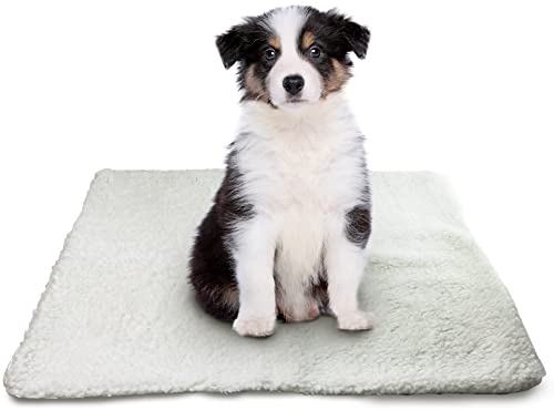 DIVCHI Pets Self Heating Bed Soft Warm Self Warming Pet Pads Thermal Self Heated Cat Dog Blanket Heat Pad Cushion Washable Mat for Indoor Cats Kitten & Puppy