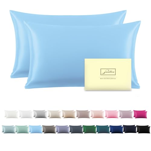 Silk Pillow Cases 2 Pack Soft Breathable and Sliky Standard Size Pillow Cases Set of 2,Natural Mulberry Satin Silk Pillowcase with Hidden Zipper for Hair and Skin (Sky Blue,20"X 26",2pcs)