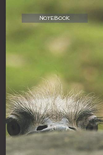Ostrich Notebook: Cool Ostrich notebook - Travel Journal to write in - 120 pages - 6"x9"