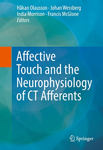 Affective Touch and the Neurophysiology of CT Afferents (English Edition)