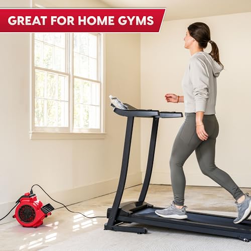 Image of Vacmaster AM201 1101 Air Mover and Fitness Fan 550 CFM Drying and Cooling