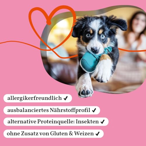 Fellows Großer Chaot Trockenfutter für heranwachsende Hunde – Speziell für Welpen großer Rassen, mit Insektenprotein, Krill und Ei, fördert gesundes Wachstum (500 g)