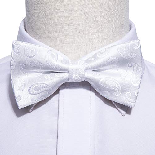 Image of Barry.Wang Paisley Striped Bow Tie for Men Silk Pre-Tied Bowtie Pocket Square Cufflinks Set Formal Wedding Party Prom