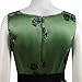 Classic Vampire Movie Twilight Bella Costume Dress Women Halloween Costume (S, Green)