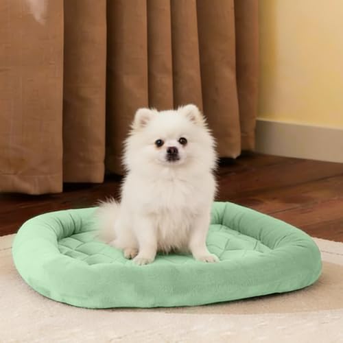 EMME ペットベッド 洗える ペットマット フランネル 犬 ベッド 猫 ペット用ベッド 小型 中型 子犬 老犬 介護 マット 洗える ペット用 クッション 滑り止め 寝心地良い ペット ぺっと 春 秋 冬 夏用 通年 清掃しやすい 74x48cm グリーン Mサイズ