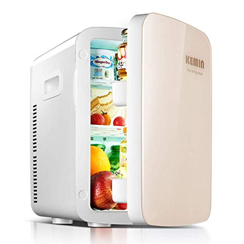 Mini-Kühlschrank elektrische Kühlbox 12V 240V für Auto und Zuhause 18L tragbarer Kühlschrank Kühler und Warmer Kühlschrank mit Fenster für