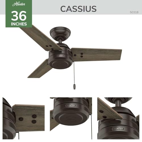 Image of Hunter 36 inch Cassius Indoor /Outdoor Ceiling Fan, Pull Chain, Fresh White