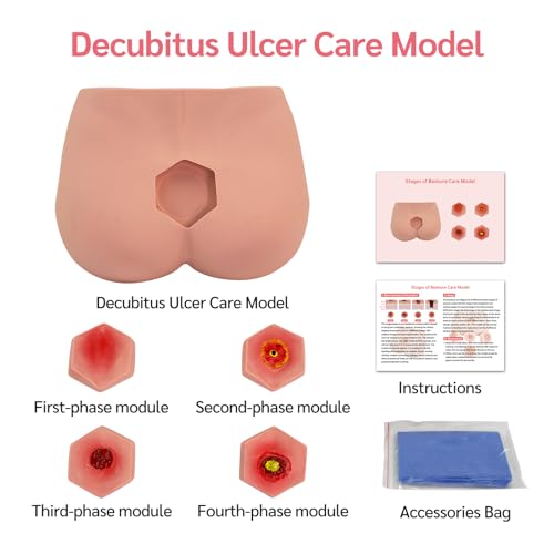 Image of Decubitus Ulcer Training Model, PVC Bedsores Pressure Sore Model 4 Stages of Bedsores - Decubitus Wound Care Kit for Medical Pratice Training Teaching Model