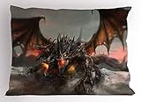 Ambesonne Fantasy World Pillow Sham, Illustration of 3 Headed Breathing Dragon Large Monster Gothic Theme, Decorative Standard Queen Size Printed Pillowcase, 30' X 20', Brown Grey