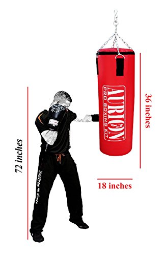 Image of Aurion Strong Punching Bag Unfilled for Boxing MMA Sparring Punching Training Kickboxing Muay Thai with Boxing Glove