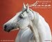Happiness is a Horse 2015 Wall Calendar
