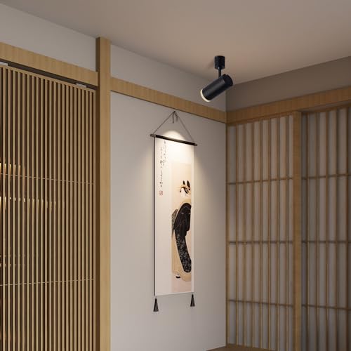Amazon.co.jp: Aisilan Lighting: スポットライト