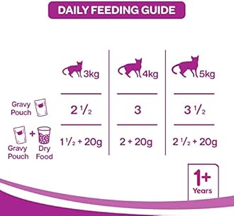 Whiskas Adult (+1 Year) Wet Cat Food, Ocean Fish, 24 Pouches (24 X 80G), 1 Count