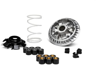 Malossi Multivar Variator 2000 J 300 2018> Downtown 300 2012> Downtown 350 2016> PEOPLE GTI 300 200 PEOPLE S 300 SUPER DINK 300 350 2012>