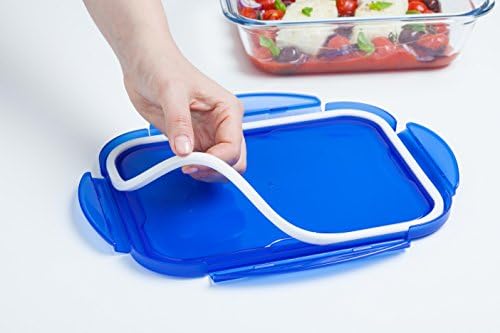PIREX Food Storage Container, Multicolor, 20 x 15 x 5 cm