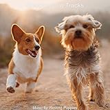 Backdrop for Training Your Dog - Exquisite New Age Music