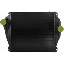 Mytee Products Heavy Duty Charge Air Cooler Compatible w/Freightliner Argosy 2008, Cascadia 2008-2013, Century Class 2008-2011, Classic 2008-2009 - Intercooler Replaces 01-31241-000, 299136001