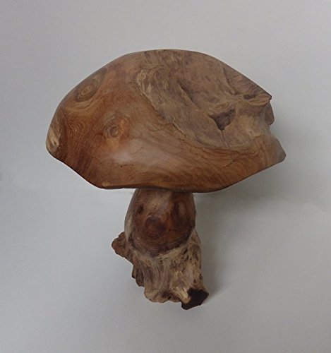 Beho Natürlich gut in Holz Pilz aus Teak Wurzelholz Durchmessr 27cm Höhe 30 cm Deko Figuren Teakholz Cover