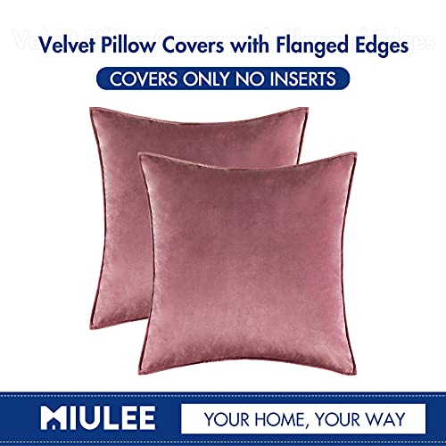 Miulee Pack Of 2 Decorative Velvet Throw Pillow Cover Soft Jam Pillow Cover Soild Square Cushion Case For Sofa Bedroom Car 18X 18 Inch 45X 45Cm #TOP5