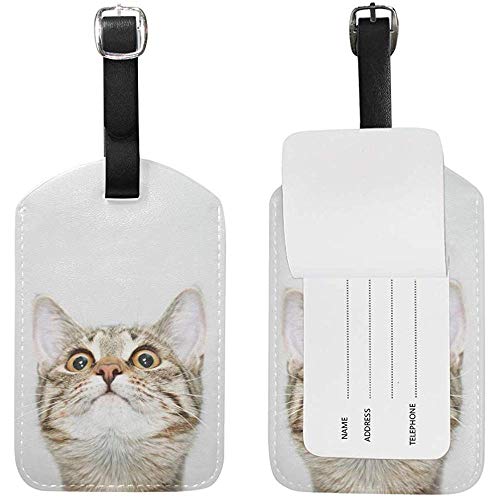 Preisvergleich Produktbild Carneg Neugieriges Katzengesicht, das Oben Lederreisegepäckanhänger-Satz-lustige personifizierte PU-Taschen-Koffer-Aufkleber mit Bügel-Kabel-Identifikations-Karte schaut