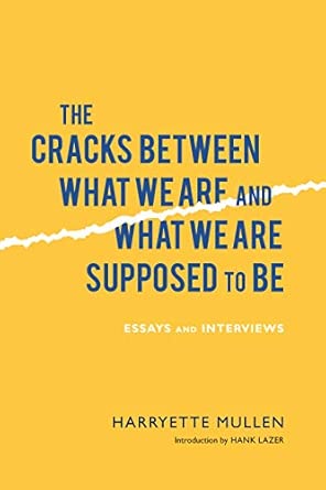 The Cracks Between What We are and What We are Supposed to be: Essays and Interviews (Modern and Contemporary Poetics) (Modern and Contemporary Poetics (Paperback)) First Edition book cover
