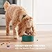 Jinx Salmon Dog Food Topper, Flavor Boosting Meal Topper with Freeze-Dried Wild-Caught Salmon, No Fillers, for All Lifestages, 3oz, 6 Pack