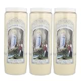 3 Bougies Neuvaine de Notre Dame de Lourdes avec prières au dos   Bougie Neuvaine   Culte Chrétien en Cire végétale
