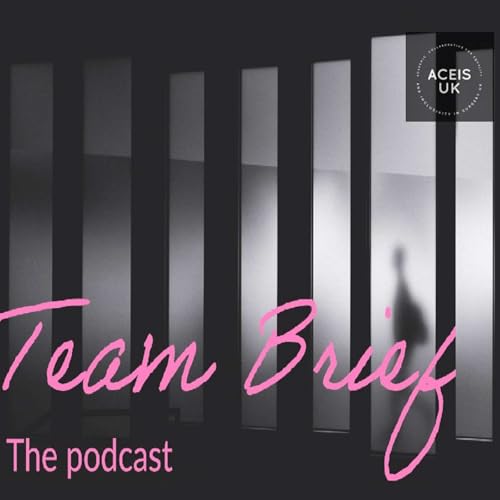 Team Brief cover art