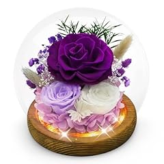Purple Rose