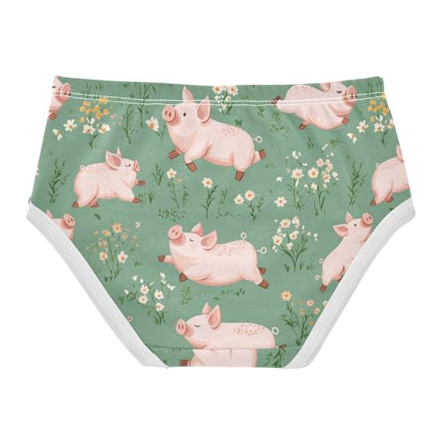 Wusikd Cute Pink Pig Girls' Underwear Cotton Flowers Girls Briefs Soft Toddler Underwear 2T2