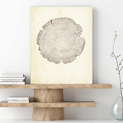 Anyzal Canvas Tree Ring Wall Art, Pastel Gray Artwork, Minimalist Wall Art-12"X16"X3 Panels, Wood Spirals Nature Drawings Abstract Modern Print Wall Decor For Living Room, Bedroom, Office #TOP1
