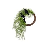 Realizzata in rattan, questa ghirlanda di corvo di Halloween ha un aspetto realistico e una durata per anni, perfetta per uso esterno senza sbiadire o manutenzione.