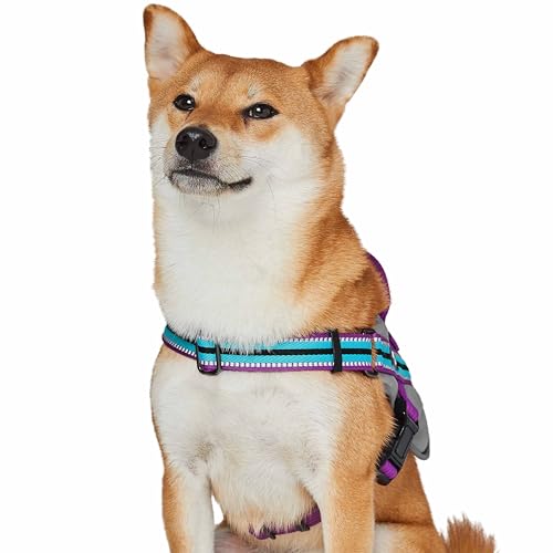 Harnais pour chien Blueberry Pet violet doux confortable réfléchissant taille M