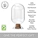 Atzi Hats Glass Match Holder with Striker – Includes Fancy Matches in Cloche Jar – Decorative Christmas Gift for Home or Fireplace – White Large