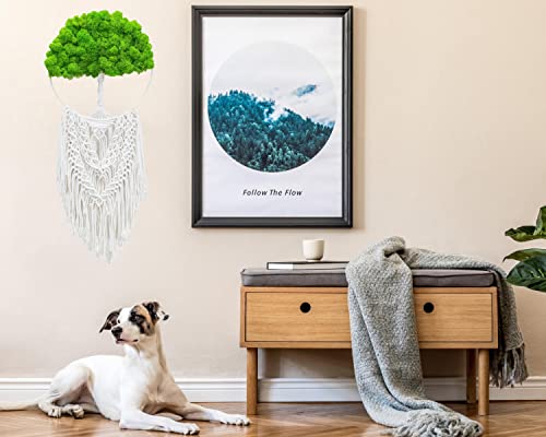 Easymacra Diy Macrame Kit - Macrame Kits For Adults Beginners - Macrame Supplies Wall Hanging Macrame Starter Kit With 109-Yard Cotton Rope, Metal Ring, Foam & Moss,Felt Fabric,Tutorial Manual &Video #TOP5