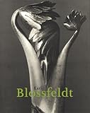 Karl Blossfeldt: 1865-1932