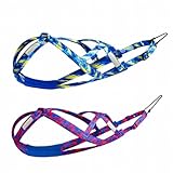 Sled Dog Chest and Back Harness, Suitable for Medium and Large Dogs, Husky Alaskan Snowboard Leash Traction Rope, Dog Weight Pulling Safety Belt (Red, M)
