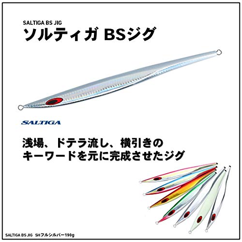 ダイワ(DAIWA) メタルジグ ソルティガ BSジグ 130g SHフルシルバー ルアー 2枚目