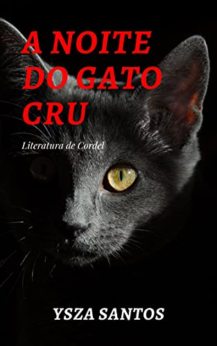 A NOITE DO GATO CRU: Literatura de Cordel