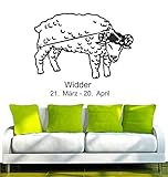 Einfache Anbringung ohne Werkzeug, dank Trägerfolie schnell und blasenfrei aufzukleben, ideal für saisonale Dekoration oder dauerhafte Gestaltung von Türen, Wänden, Möbeln und weiteren ebenen Oberflächen im Innenbereich