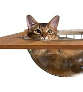 Amazon.co.jp: 【公式】ieneko 猫ステップ ロングタイプ 猫 ケージ