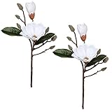 【Magnolien Deko Zweig】Schöne, wohnliche Dekoideen verwandeln das Zuhause in eine Wohlfühloase und vermitteln Wohnräumen Individualität und Einzigartigkeit. Die dekorative, ausdrucksstarke Magnolie 45 cm setzt durch ihre grazile Gestalt nicht nur stilvolle, elegante Akzente, sondern versprüht gleichzeitig eine wunderbare Wohlfühlatmosphäre in den vier Wänden
