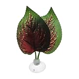 CAPASTEC Betta Fish Leaf, Natural Habitat Simulation for Betta Spawnings Grounds, Betta Spawnings Leaves, Resting Bed, Single Leaf, Deep Green Brown