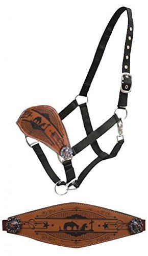 Showman Praying Cowboy Bronc Nose Halter! New Horse Tack! #TOP22