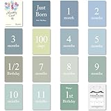 §＆∞＆ＣＯＣＯ 日本製 マンスリーカード 月齢フォト ハガキサイズ 月齢カード ニューボーンフォト マンスリーフォト ベビー 赤ちゃん (Dセット)