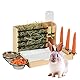 JUJOYBD 5-in-1 Kaninchen Futterstation aus Holz, Heuraufe mit Trinkflasche, 2 Näpfen, Karottenhalter und Pinkelpads, Rabbit Hay Feeder Futterspender für Kleintiere wie Zwergkaninchen Meerschweinchen