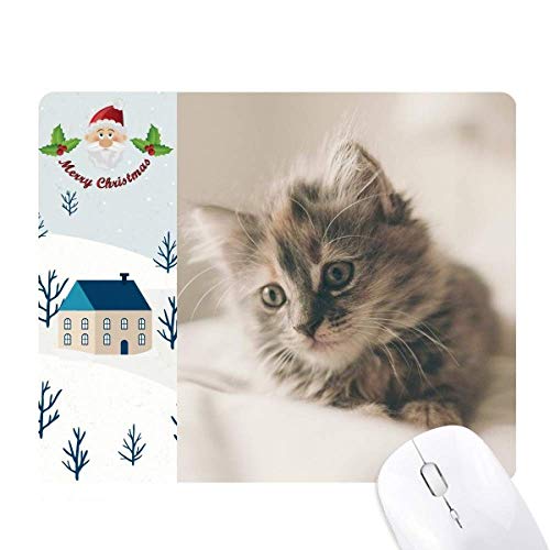 �����̃L�e�B�D�F�̔L�̎ʐ^ �T���^�N���[�X�Ɖ��S���̃}�E�X�p�b�h